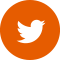 icon_twitter